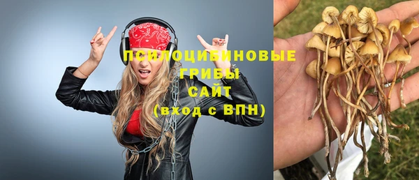 гидропоника Абдулино