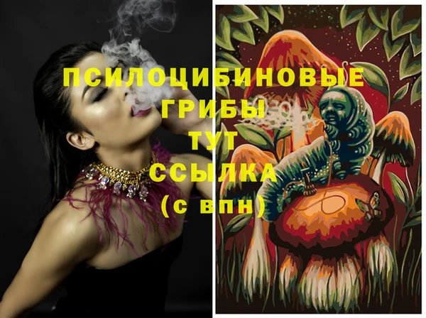 гидропоника Абдулино