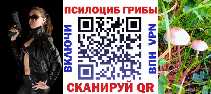 это как зайти  Великий Новгород  Псилоцибиновые грибы Cubensis  kraken зеркало 